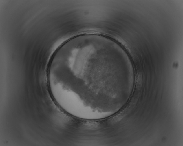 X0000091201466200708301551