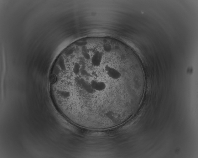 X0000091201467200708301551
