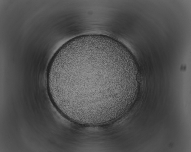 X0000091201468200708301551