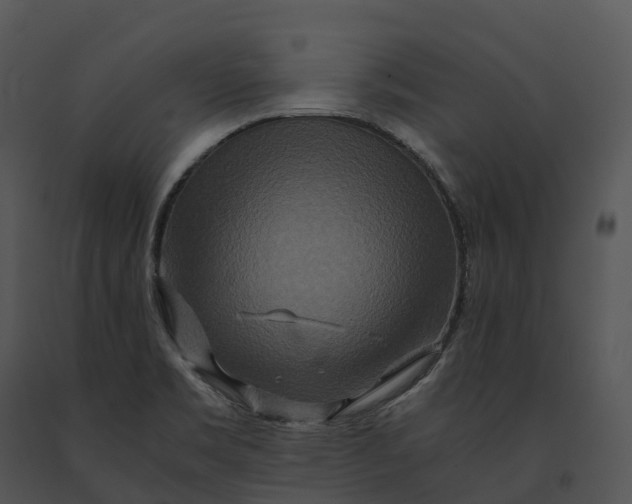 X0000091201469200708301551