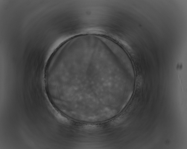 X0000091201470200708301551
