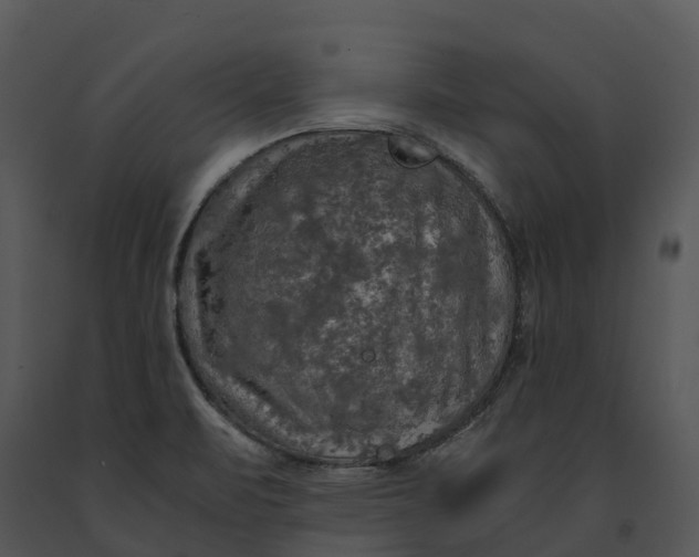 X0000091201471200708301551