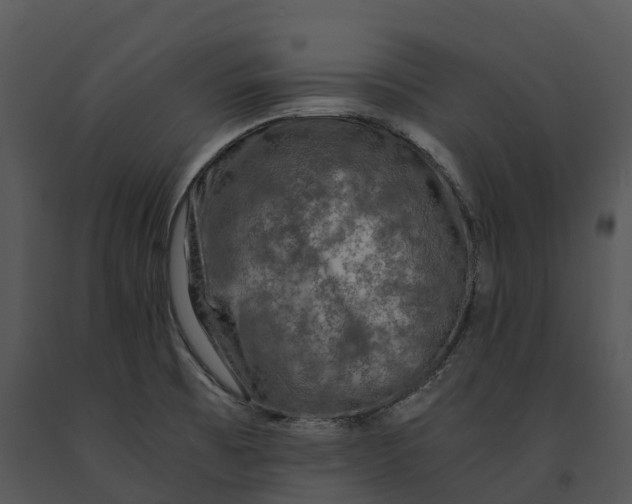 X0000091201473200708301551