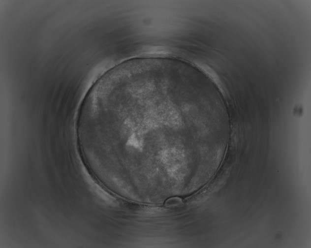 X0000091201475200708301551