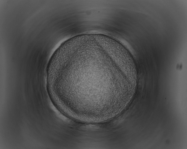 X0000091201476200708301550