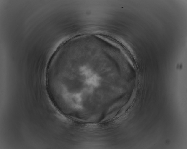 X0000091201477200708301550