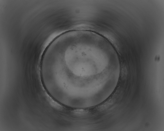 X0000091201478200708301550