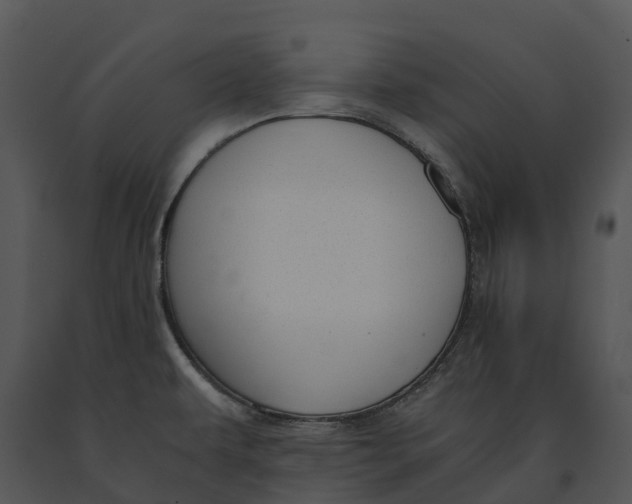 X0000091201479200708301550