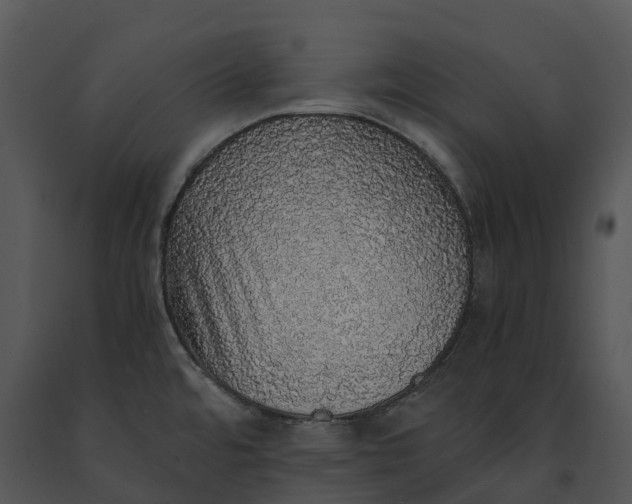 X0000091201480200708301550