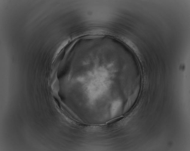 X0000091201481200708301550