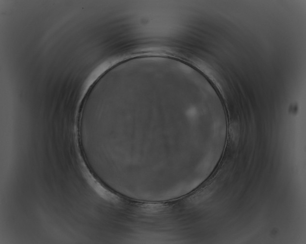 X0000091201482200708301550