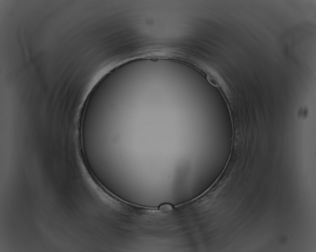 X0000091201483200708301550