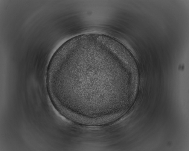 X0000091201484200708301550
