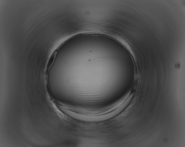 X0000091201485200708301550