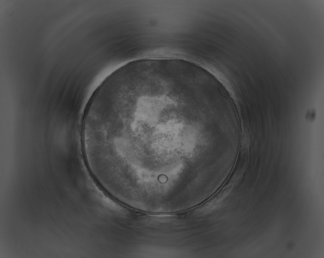 X0000091201486200708301550
