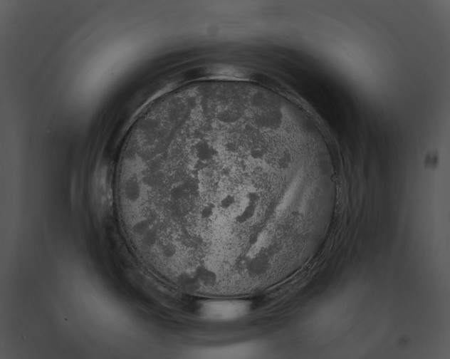 X0000091201487200708301550