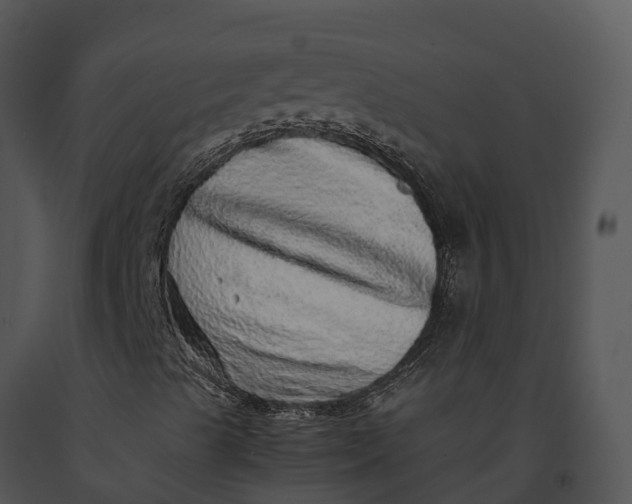 X0000091201489200708301549