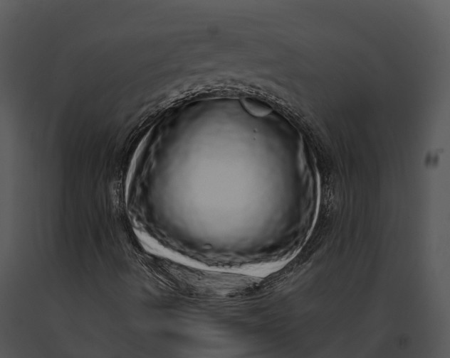 X0000091201490200708301549