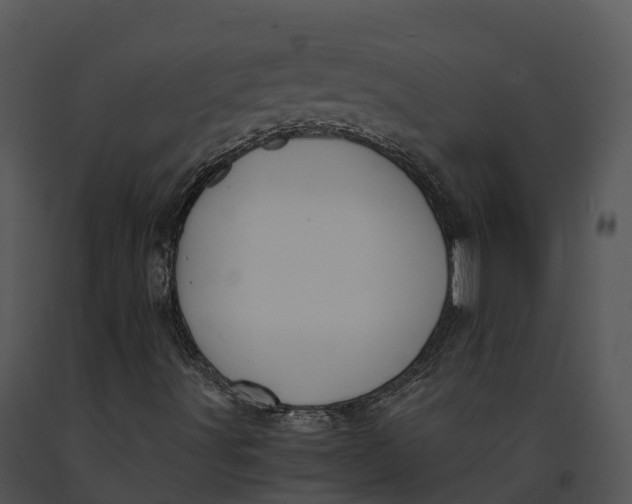 X0000091201491200708301549