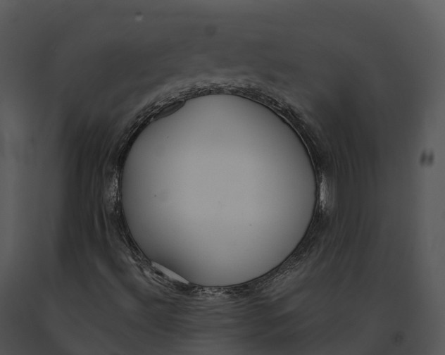 X0000091201492200708301549