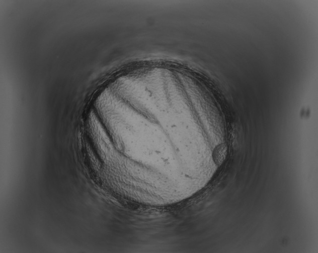 X0000091201493200708301549