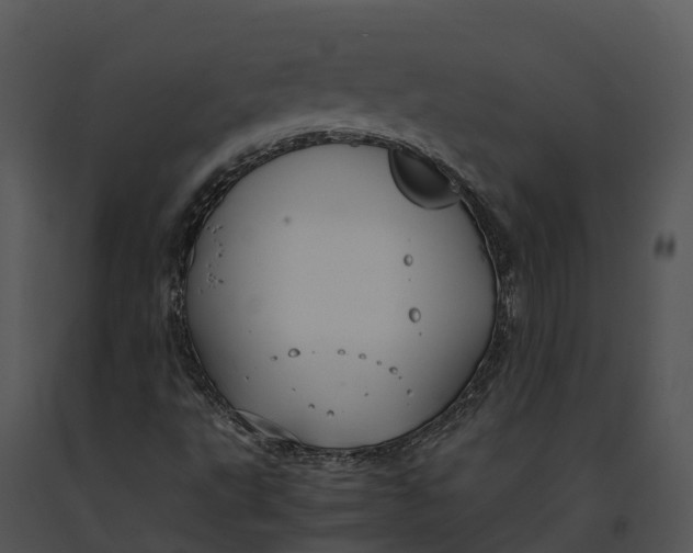 X0000091201495200708301549