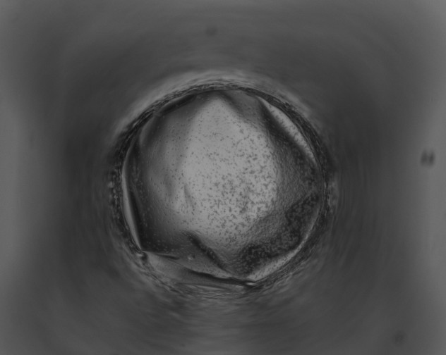 X0000091201496200708301549
