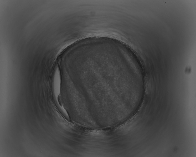 X0000091201497200708301549