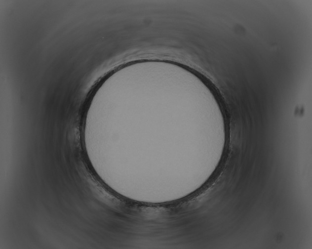 X0000091201498200708301550