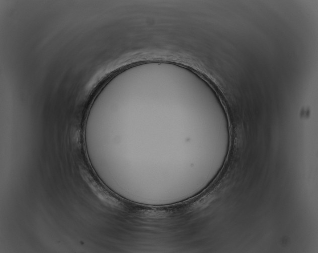 X0000091201499200708301550