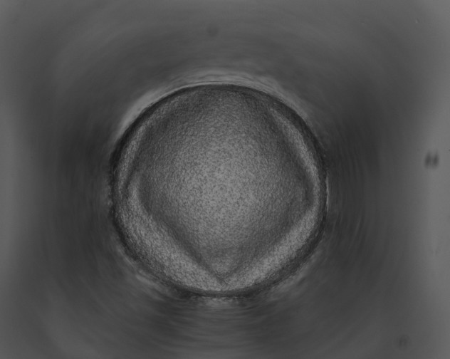 X0000091201501200708301550