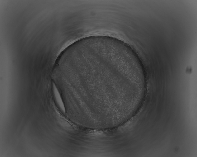 X0000091201505200708301550