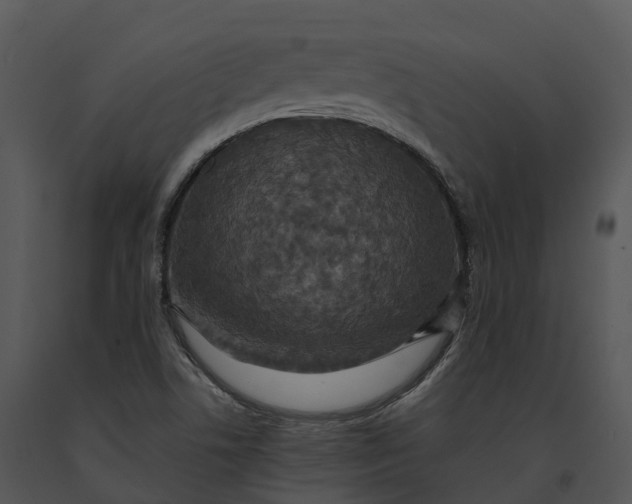 X0000091201506200708301550