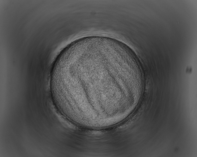 X0000091201507200708301550