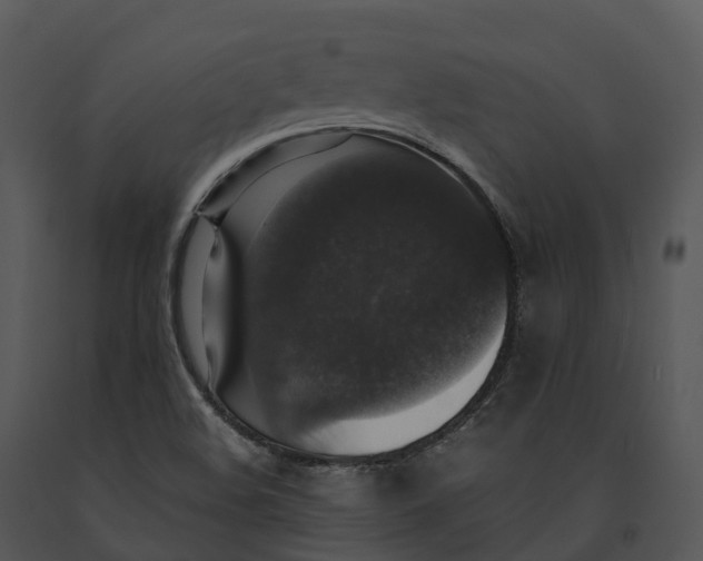 X0000091201508200708301550