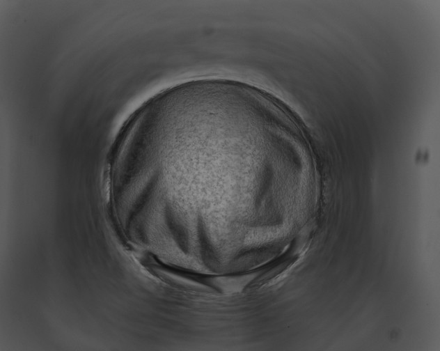 X0000091201510200708301550