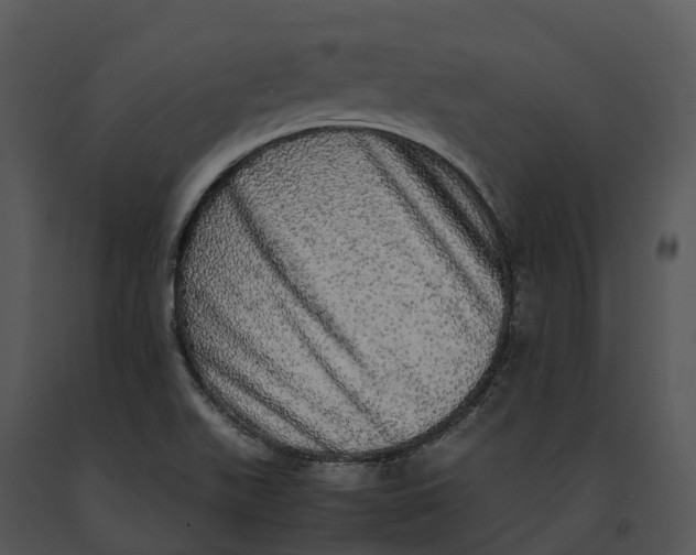 X0000091201511200708301550