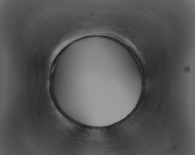 X0000091201512200708301550