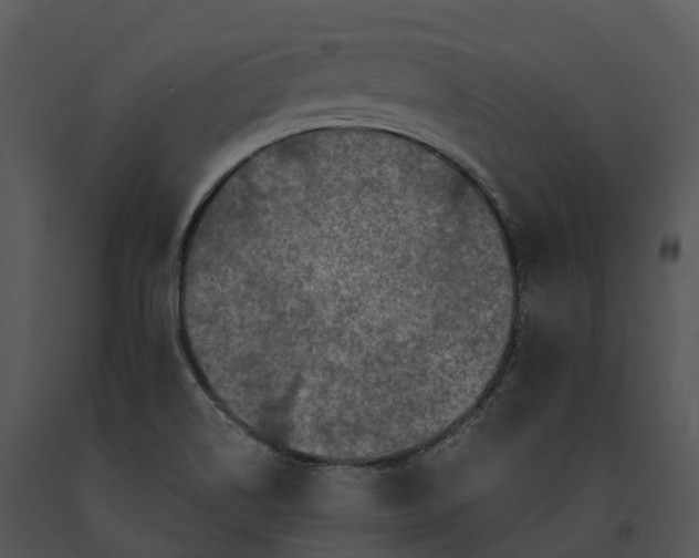 X0000091201514200708301550