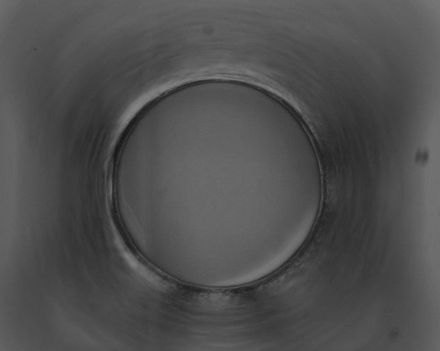 X0000091201515200708301550