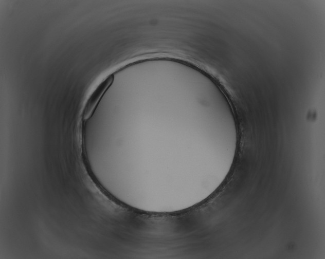 X0000091201516200708301550
