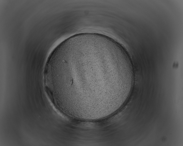 X0000091201517200708301550