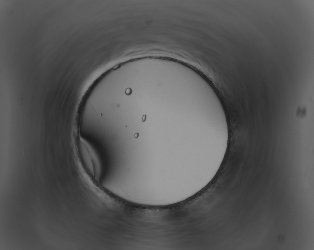 X0000091201518200708301550