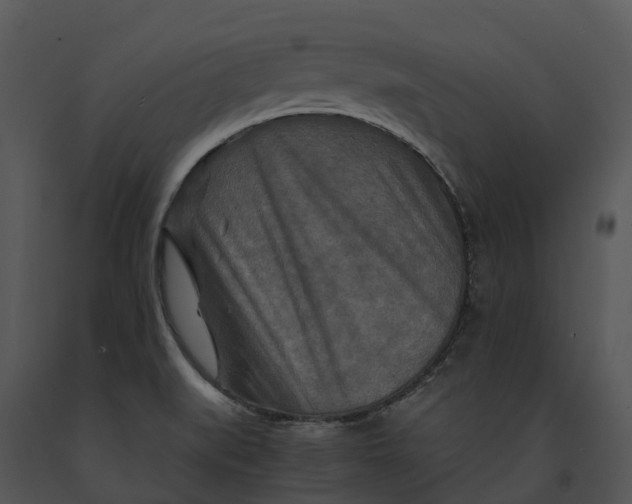 X0000091201519200708301550