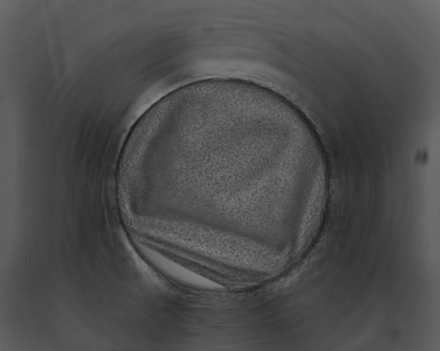 X0000091201521200708301550
