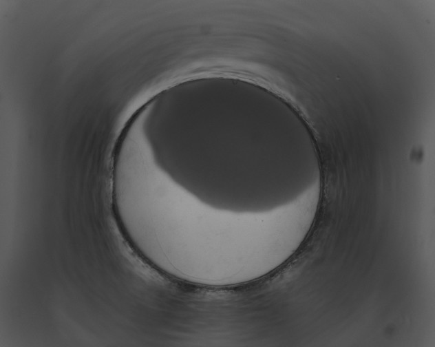 X0000091201522200708301550