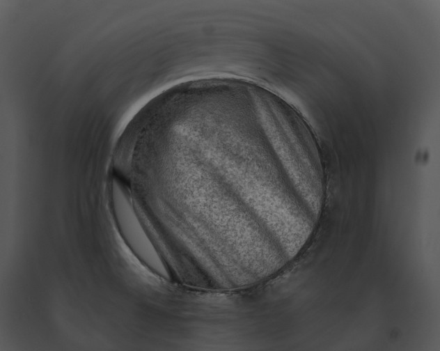 X0000091201524200708301550