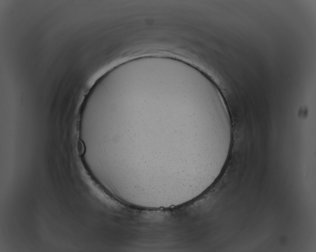 X0000091201526200708301550