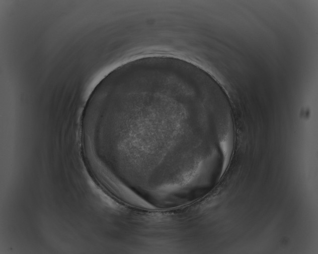 X0000091201527200708301550