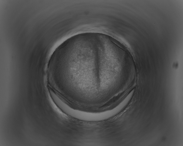 X0000091201528200708301550